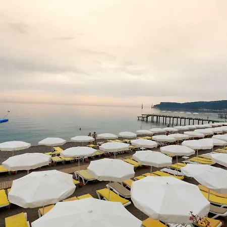 Pgs Rose (adults Only) Kemer