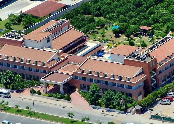 Pgs Rose (adults Only) Κεμέρ