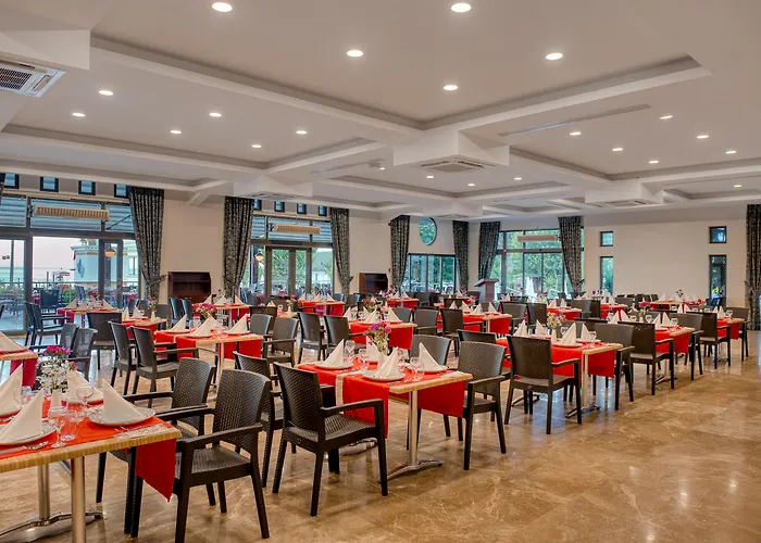 Θέρετρο Pgs Rose (adults Only)