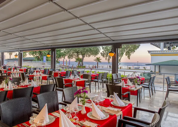 Pgs Rose (adults Only)