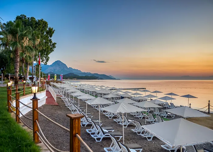 Pgs Rose (adults Only)