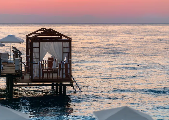 Pgs Rose (adults Only) 5*