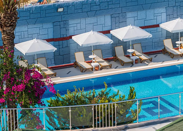 Θέρετρο Pgs Rose (adults Only)