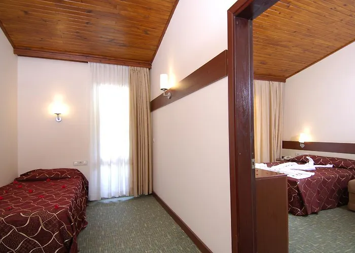 Θέρετρο Pgs Rose (adults Only)