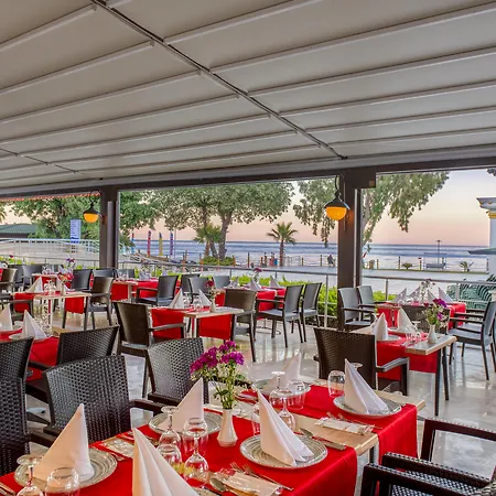 Pgs Rose (adults Only)