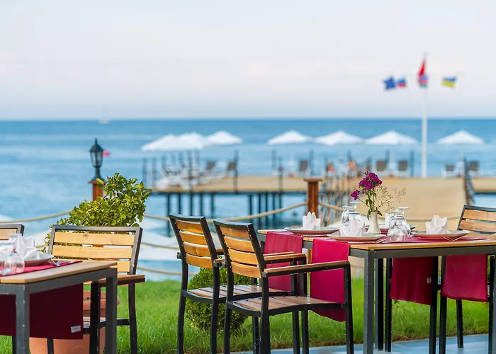 Pgs Rose (adults Only) Resort