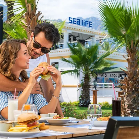 Pgs Rose (adults Only)