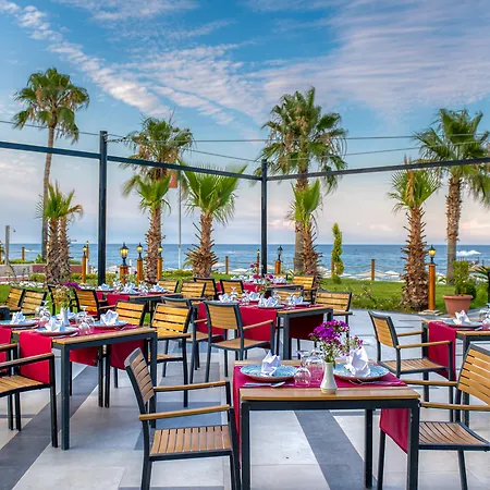 Pgs Rose (adults Only) 5*