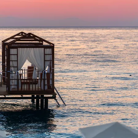 Pgs Rose (adults Only) 5*