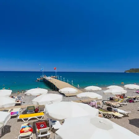 Pgs Rose (adults Only)