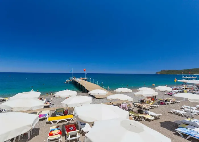 Pgs Rose (adults Only)