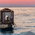 Pgs Rose (adults Only) 5*