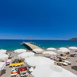 Pgs Rose (adults Only)